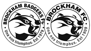Brockham Badgers FC